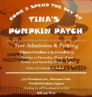 Tina's Pumpkin Patch image 3